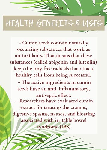 Cumin - Benefits for Hair, Health, and Side Effects of Cumin – Traya